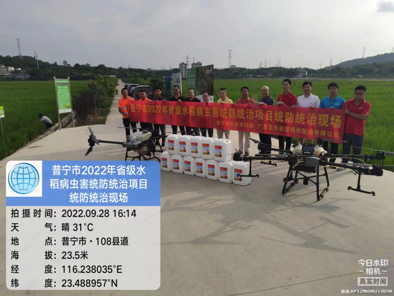普宁市实施2022年省级水稻病虫害统防统治项目2.png