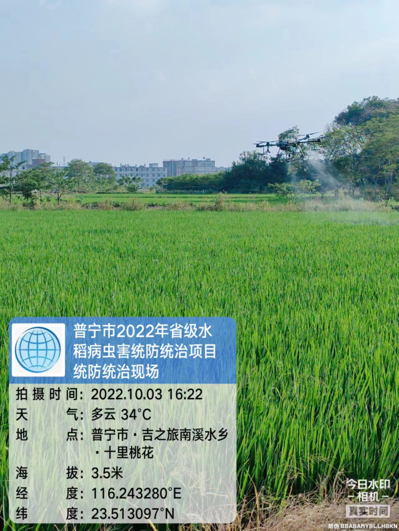 普宁市实施2022年省级水稻病虫害统防统治项目4.png