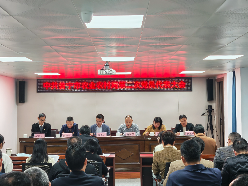 已编辑图片