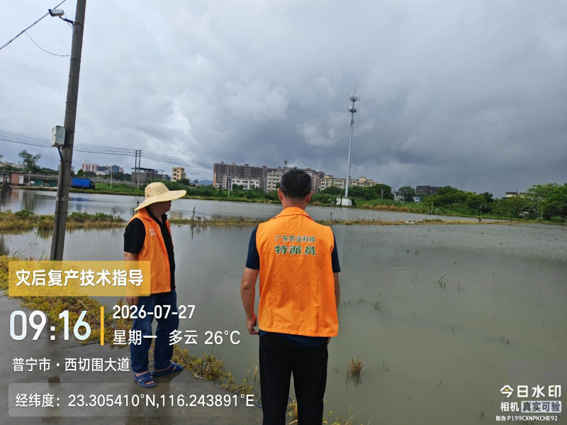 图片4.png