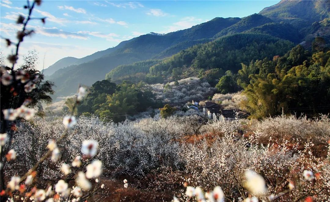 《善德梅海》卢伟税_副本.jpg 图片