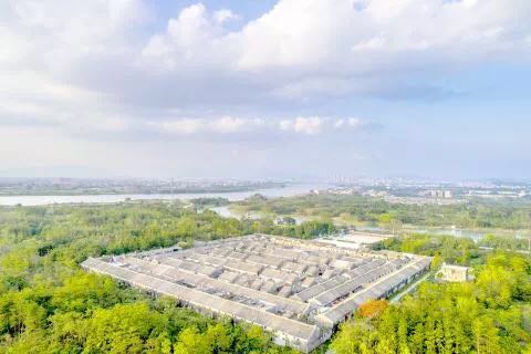 普宁市人民政府门户网站